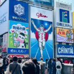 Osaka: Private Full Day City Highlights Car Tour - The Practicalities: What to Expect