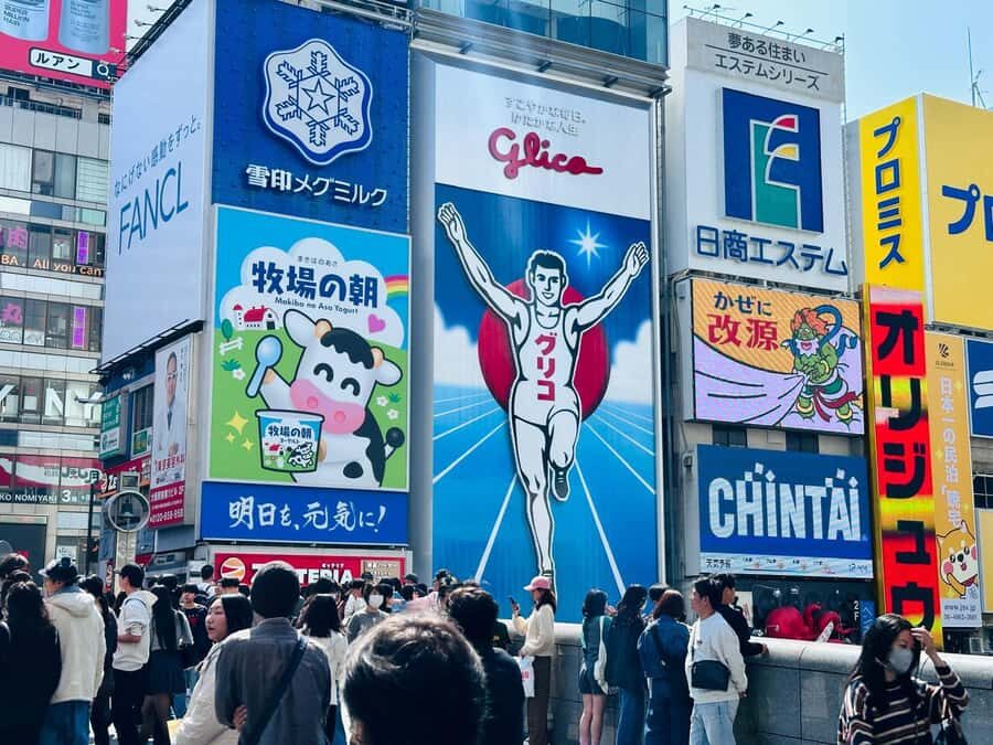 Osaka: Private Full Day City Highlights Car Tour - The Practicalities: What to Expect