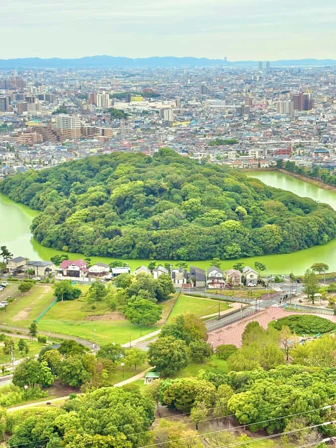 Osaka: Private Hidden Sakai Balloon Ride and historical tour - Who Will Love This Tour?