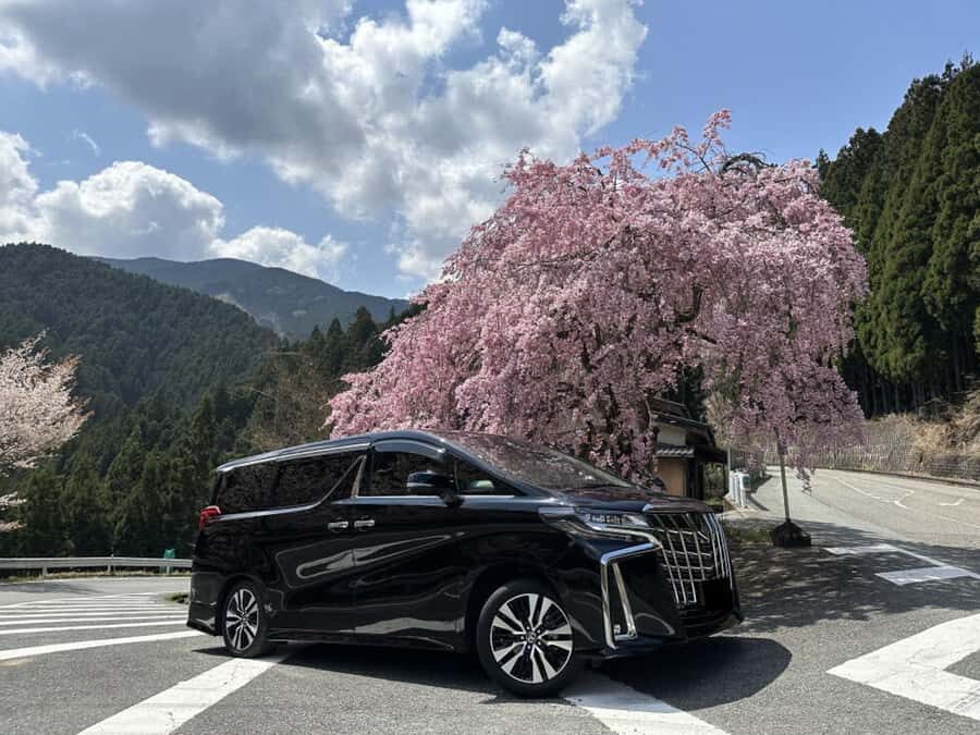 Osaka: Private Sake Brewery Tour with Tastings - An Inside Look at the Itinerary