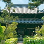 Osaka Private Tour Tracing the Grand Master of the Tea Ceremony - Final Thoughts: Is It Worth It?