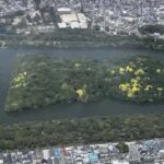 Osaka: Sakai Day Tour with Lunch and Transfers - What Makes This Tour Stand Out?