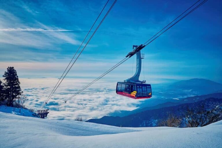 Osaka: Shiga Biwako Valley Winter Ski Day Tour opt lesson - Who This Tour Is Perfect For