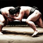 Osaka: Sumo Experience - Live Matches & Sumo Challenge - Deep Dive: The Itinerary & Atmosphere