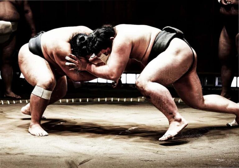 Osaka: Sumo Experience - Live Matches & Sumo Challenge - Deep Dive: The Itinerary & Atmosphere