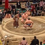 Osaka Sumo Tournament Entry Ticket and Guided Tour - Inside the Arena: Viewing and Exploration