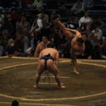 Osaka: Sumo Tournament with Guide & Assigned Reserved Seat - Why This Tour Works for Different Types of Travelers