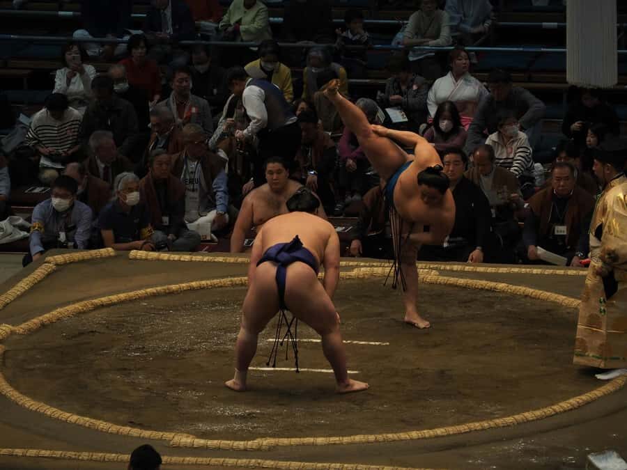 Osaka: Sumo Tournament with Guide & Assigned Reserved Seat - Why This Tour Works for Different Types of Travelers