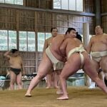 Osaka: Sumo Wrestling Real Practice Viewing Guided Tour - Practical Details You Should Know