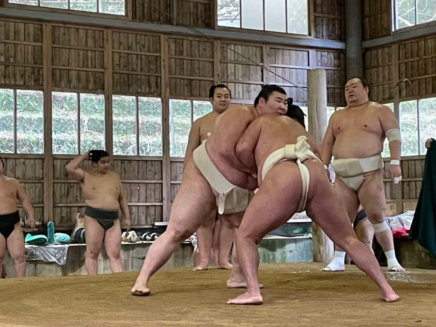 Osaka: Sumo Wrestling Real Practice Viewing Guided Tour - Practical Details You Should Know