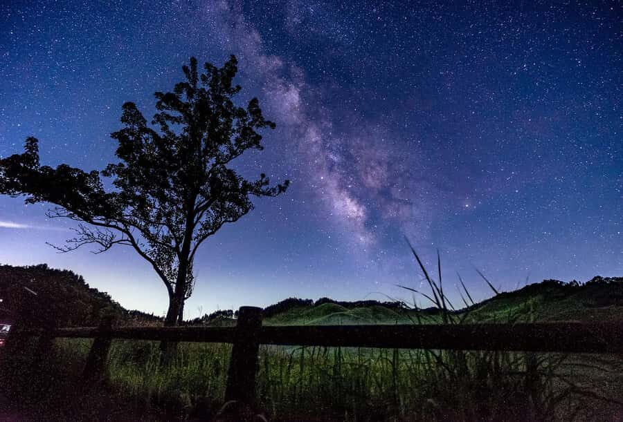 Osaka: Takeda Castle Ruins and Kobe One-Day Tour - Exploring the Takeda Castle Ruins: Japan’s “Castle in the Sky”
