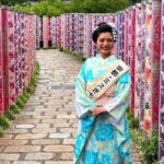 Osaka to Kyoto Arashiyama Bamboo Grove Small Group Tour - Who’s This Tour Best For?