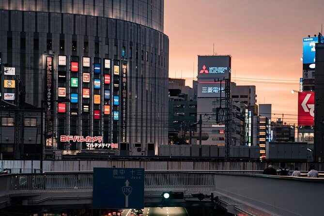 Osaka to Nara Park Private Day Trip with English Driver - Who Will Love This Tour?