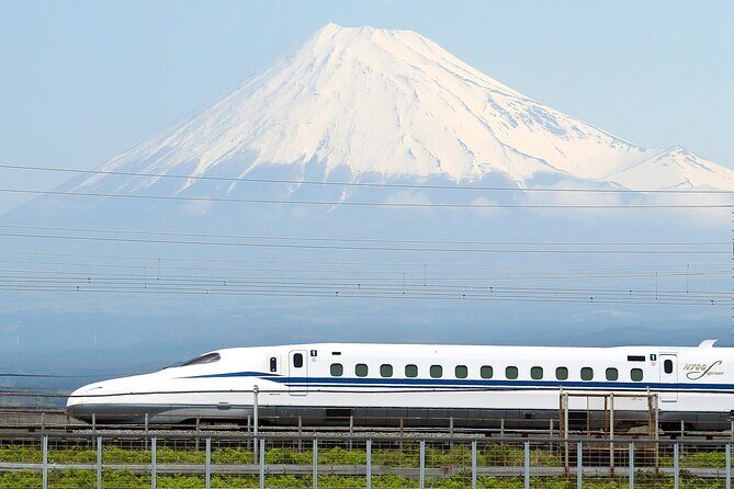 Osaka to Tokyo Bullet Train Trip with Tokyo Subway 24 hour Ticket - Who Should Consider This Tour?
