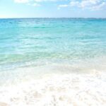 Osaka to Wakayama, Japan One-Day Chartered Tour - The Sum Up