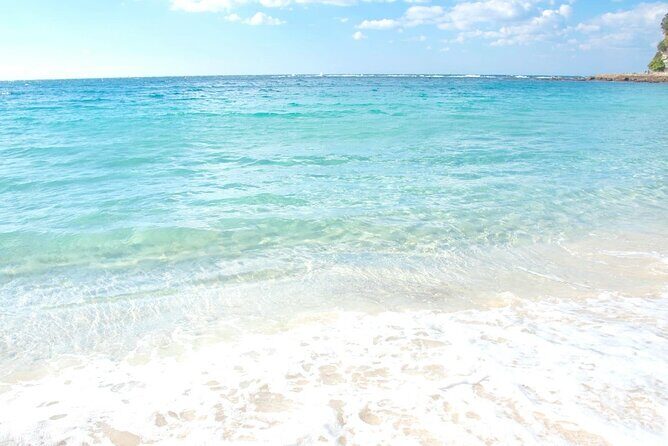 Osaka to Wakayama, Japan One-Day Chartered Tour - The Sum Up