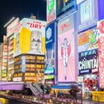 Osaka Uncovered Full Day Journey Through City's Highlights - Who Is This Tour Best For?