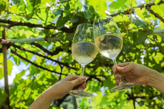 Osaka Wine Walking Tour: Japans Oldest Winery Historic town - What We Loved About This Tour