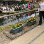 Oshino Hakkai and Kitaguchi Hongu Sengen Shrine Guided Tour-Van - Value and Practicality