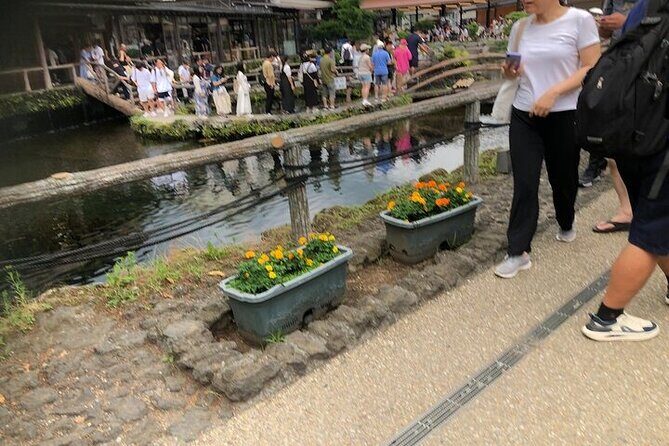 Oshino Hakkai and Kitaguchi Hongu Sengen Shrine Guided Tour-Van - Value and Practicality