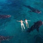 Oslob Whale Shark Snorkeling & Tumalog Falls with Osmeña Peak - Analyzing the Itinerary and Experience