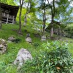 Otagi Nenbutsu-ji & Arashiyama Bamboo Forest Walking Tour - What Sets This Tour Apart?