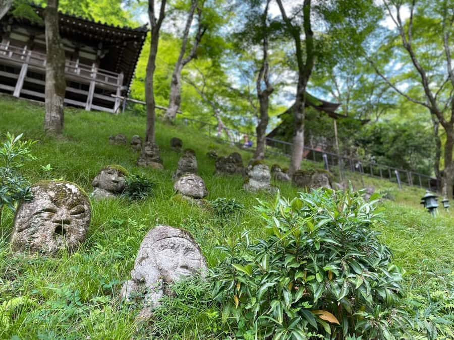 Otagi Nenbutsu-ji & Arashiyama Bamboo Forest Walking Tour - What Sets This Tour Apart?