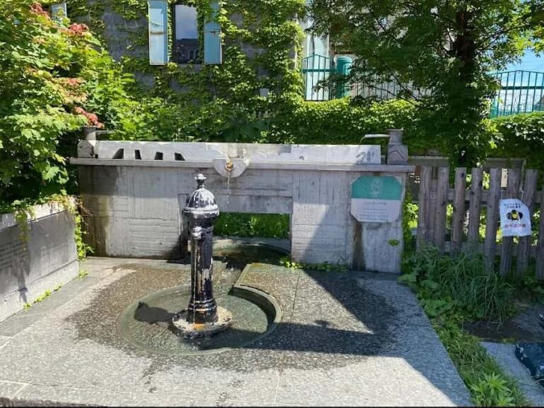 Otaru: Guided Day Tour with Canal and Glass Workshop - Practical Details and Tips