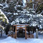 Otaru & Sapporo: Full-Day Tour with Train Ride - Practical Details & Tips