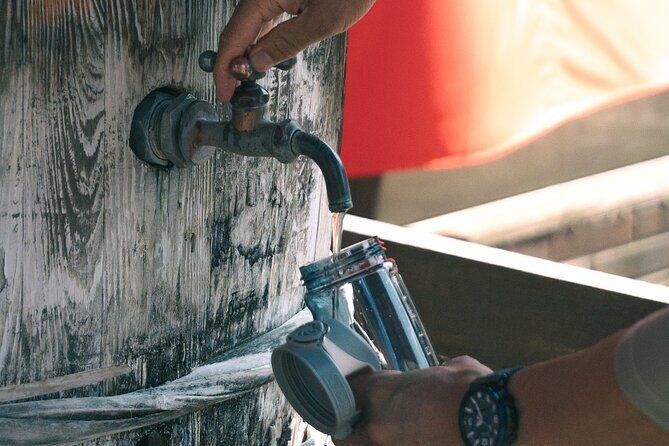 Otaru Tanaka Sake Brewing Private Tour - Exploring Otaru’s Sake Heritage