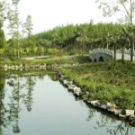 Outdoor Fun in Shanghai: Dongping Park Entry for 2-Person - In-depth Look at the Experience