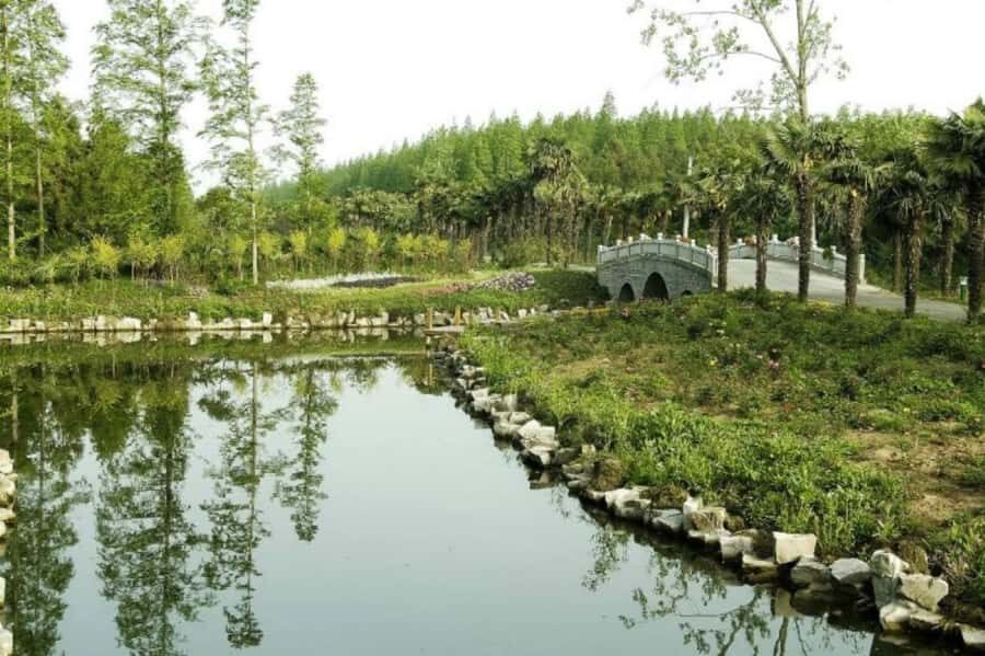 Outdoor Fun in Shanghai: Dongping Park Entry for 2-Person - In-depth Look at the Experience