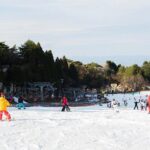 Outskirts of the city Mt Rokko Snow Trip - Practical Details and Tips
