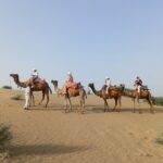 Overnight Camel Safari - Day 2: Sunrise and Return to Jaisalmer