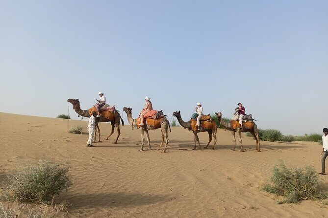 Overnight Camel Safari - Day 2: Sunrise and Return to Jaisalmer