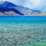 Overnight Pangong Tour From Leh With Thikse & Hemis Monasteries. - The Transport and Practicalities