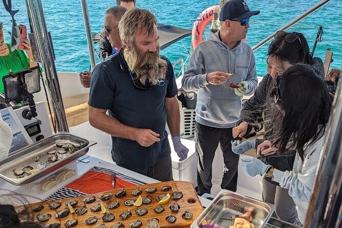 Oyster Farm Tour - Who Should Consider This Tour?