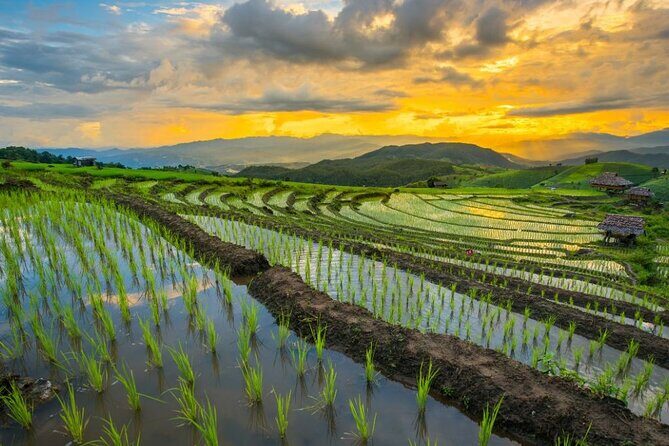 Pa Bong Piang Rice Terraces and Doi Inthanon Seasonal Day Tour - Who Would Love This Tour?