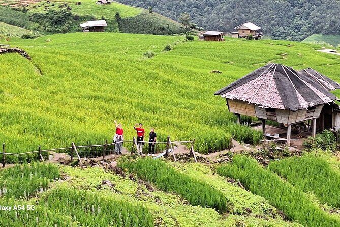 Pa Pong Piang Rice Terrace and Doi Inthanon National Park - In-Depth Look at the Itinerary