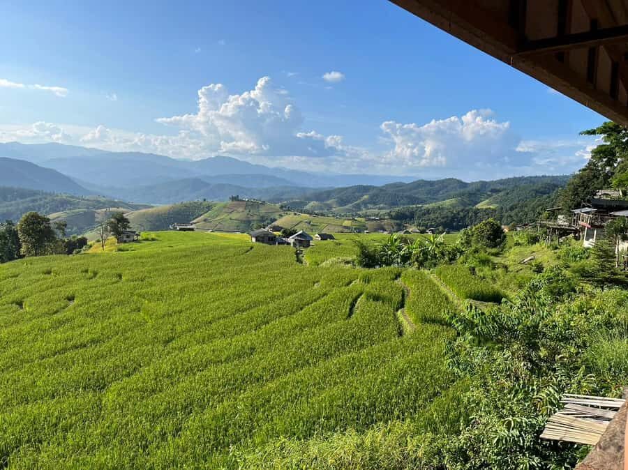 Pa Pong Piang Rice Terraces & Doi Inthanon National Park - Why This Tour Offers Great Value