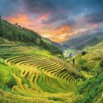 Package Tour Halong and Sapa - An In-Depth Look at the Tour Experience