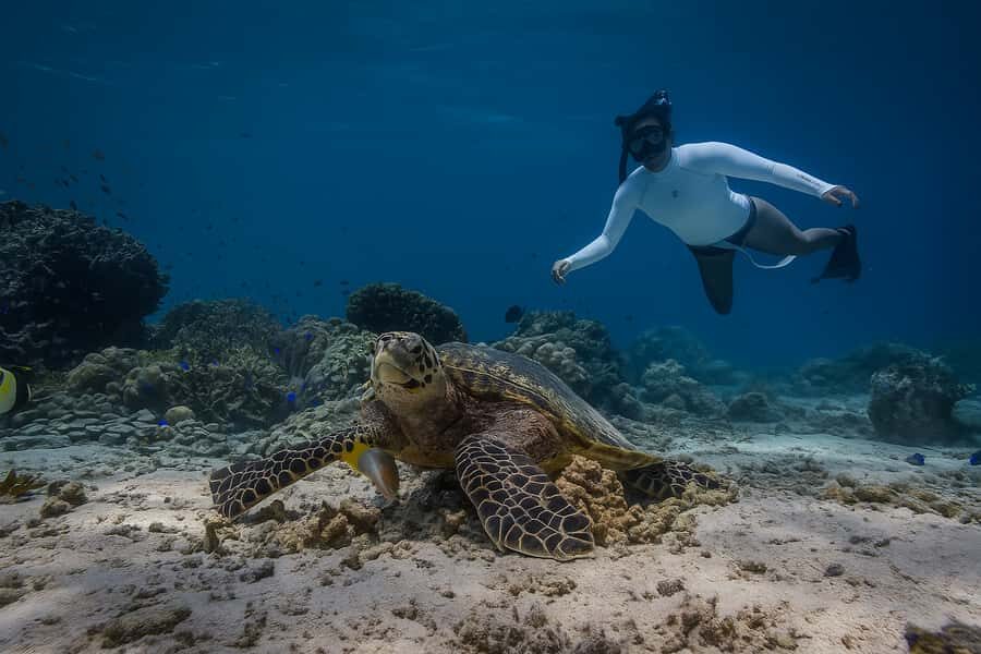 Padang Bai Snorkeling Trip with Lunch and Local Guide - The Boat Ride: Comfort and Safety First