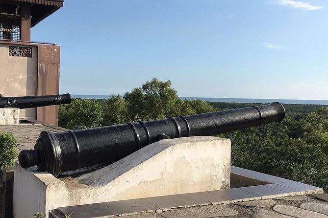 Paddy Field, Fishing And Fireflies Tour - Explore Malaysia’s Countryside with a Well-Balanced Itinerary