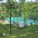Padel & Pickleball on Camotes Island - Detailed Review: Why This Experience Stands Out