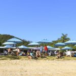 Paihia: Hole in the Rock Fast Boat with Island Stopover - Practical Considerations