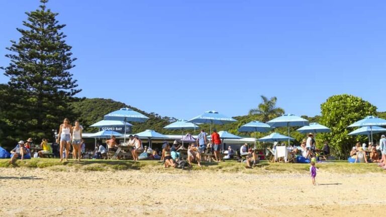 Paihia: Hole in the Rock Fast Boat with Island Stopover - Practical Considerations