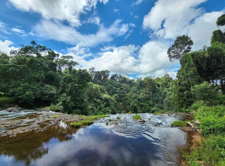 Pakse: Visit Bolaven Plateau+Tad Fane & Tad Yuang Waterfalls - The Value of This Tour