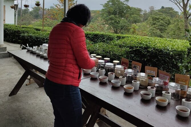 Palampur and Bir Tour, Tea Gardens, Adventures and Paragliding - Practical Tips for Making the Most of the Tour