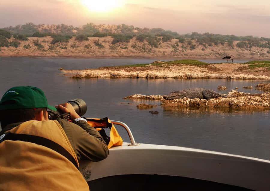 Palighat Chambal Crocodile Boat Safari - Practical Details: What You Need to Know