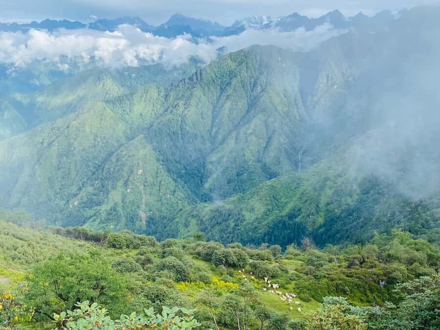 Panch Pokhari Trek in Nepal - Practical Details & What to Expect